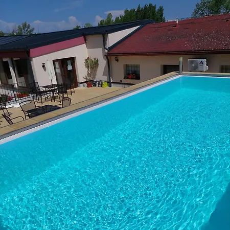 Penzion Rodinný Wellness U Langrů Dolni Vestonice