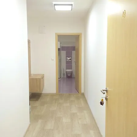 Rodinný Wellness U Langrů Penzion Dolni Vestonice