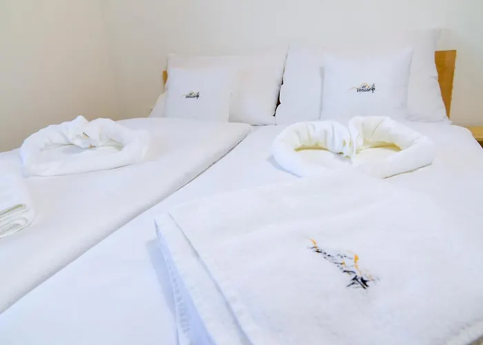 Pensión Rodinny Wellness U Langru